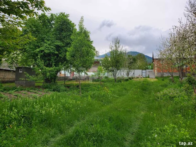 Bağ evi kirayə verilir, İsmayıl...