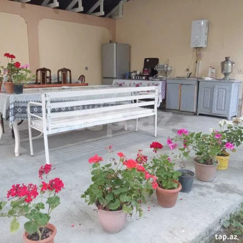 Bağ evi kirayə verilir, Qəbələ...