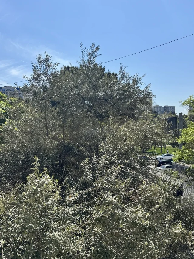 Mənzil Satılır