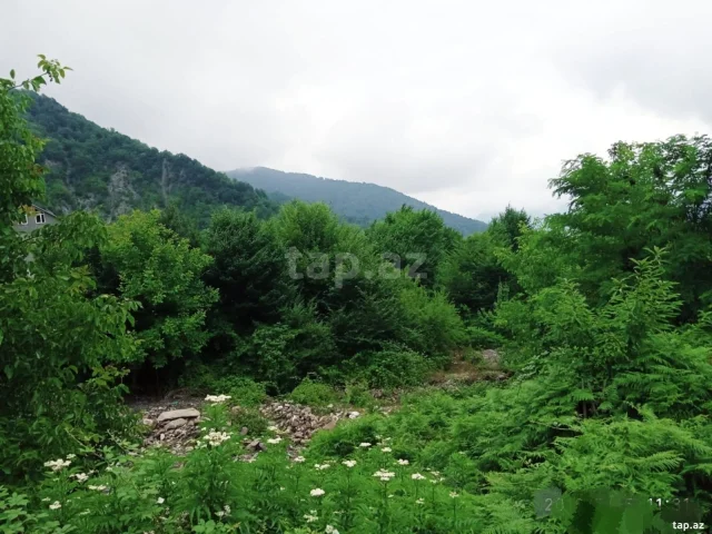 Həyət/Bağ Evi, Villa Kirayə verilir