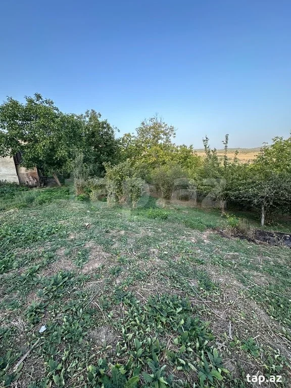 22 sot torpaq sahəsi, Şabran r.