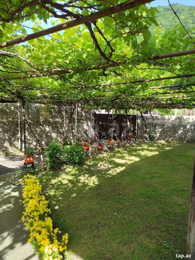 Həyət evi kirayə verilir, Qax r.