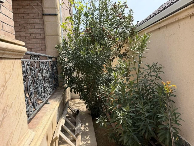 Həyət/Bağ Evi, Villa Satılır