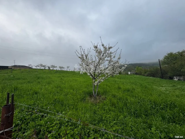 Torpaq sahəsi Kirayə verilir