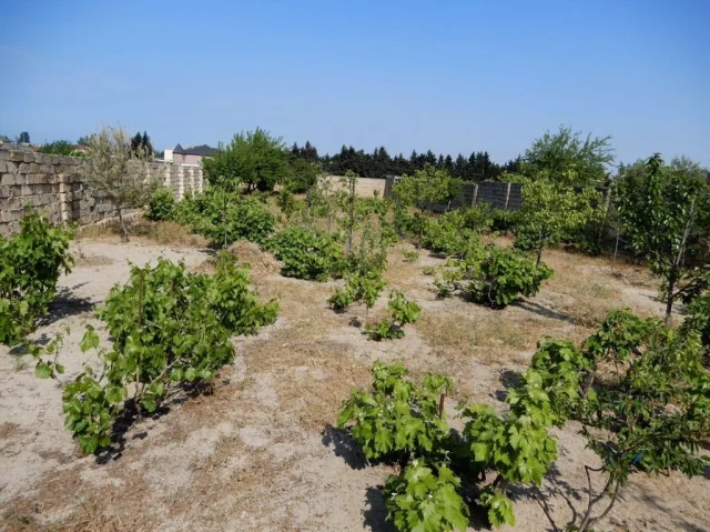 Həyət/Bağ Evi, Villa Satılır
