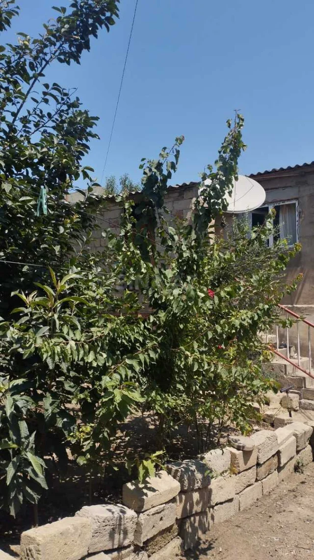 Torpaq sahəsi Satılır