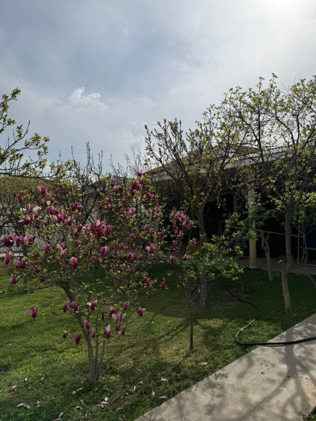 Həyət/Bağ Evi, Villa Satılır