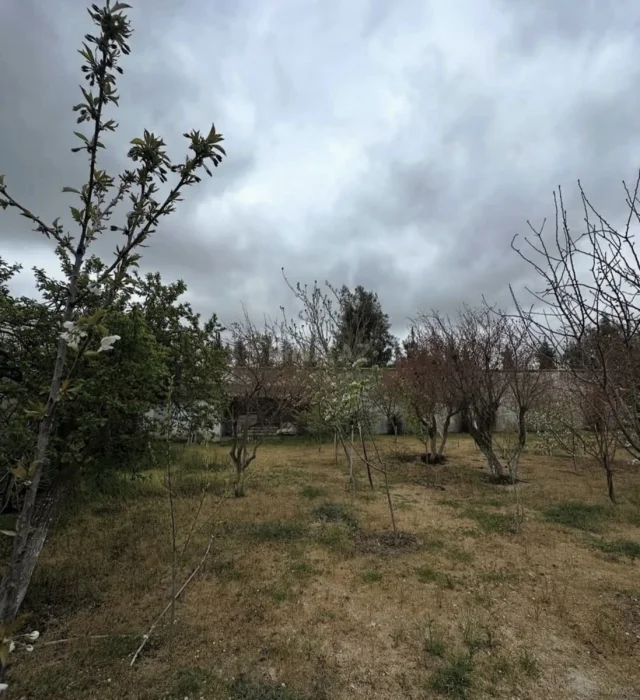 Torpaq sahəsi Satılır