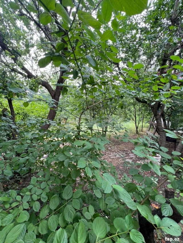 Həyət/Bağ Evi, Villa Satılır