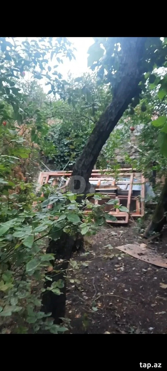 Həyət evi, Şamaxı ş.