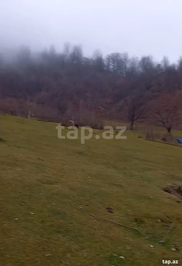 Torpaq sahəsi Satılır