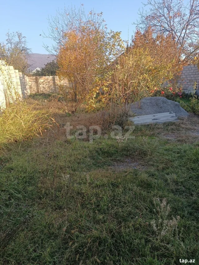 4 sot torpaq sahəsi, Şəki ş.