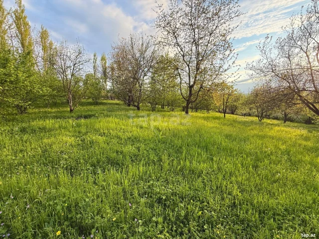Torpaq sahəsi Satılır