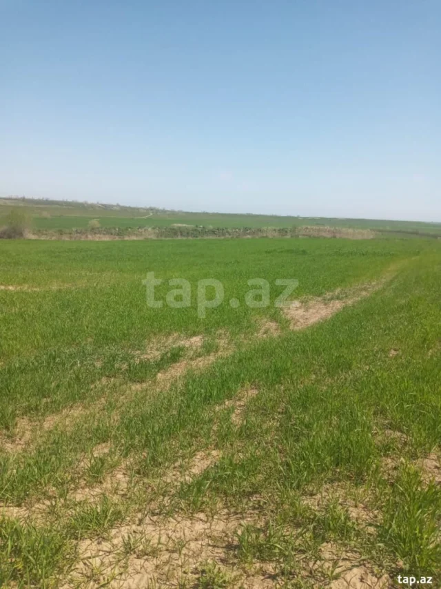 124 sot torpaq sahəsi, Qusar r.