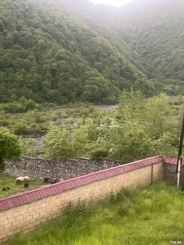 8 sot torpaq sahəsi, Qəbələ ş.