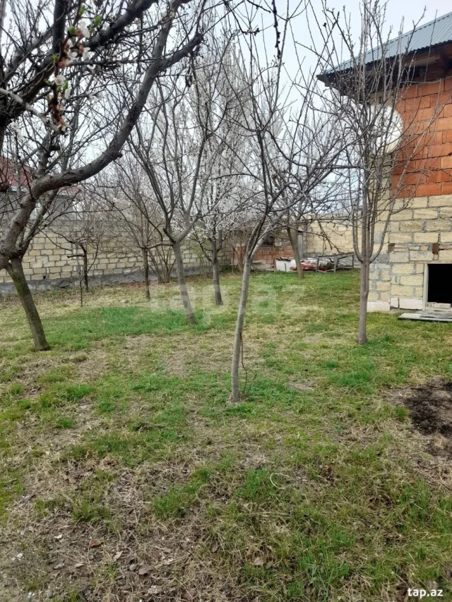 Həyət evi, Şəki ş.