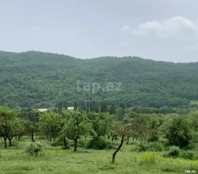 Torpaq sahəsi Satılır