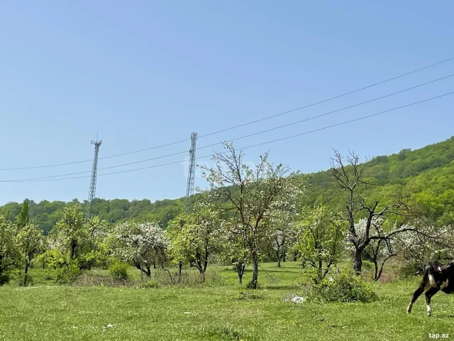 Torpaq sahəsi Satılır