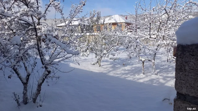 Həyət/Bağ Evi, Villa Kirayə verilir