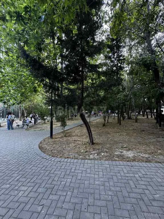 Mənzil Satılır