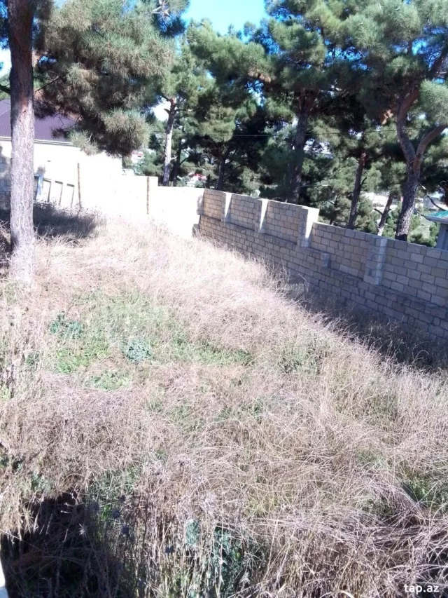 Həyət/Bağ Evi, Villa Satılır