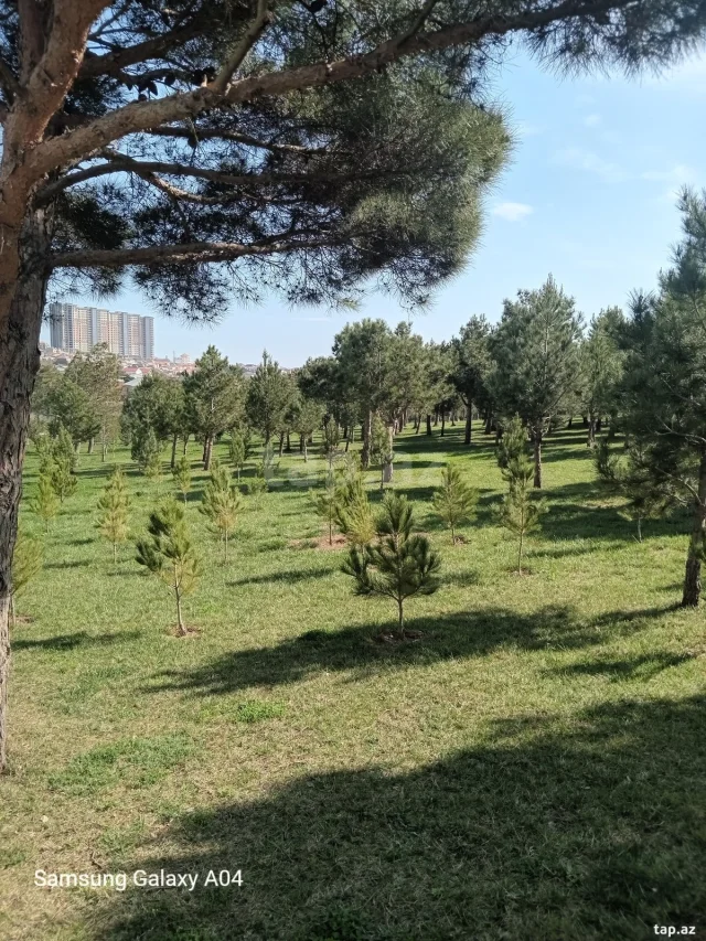 Mənzil Satılır