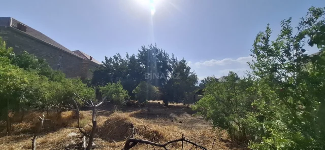 Torpaq sahəsi Satılır