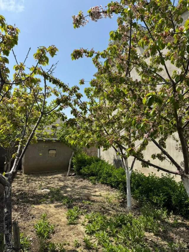Həyət/Bağ Evi, Villa Satılır