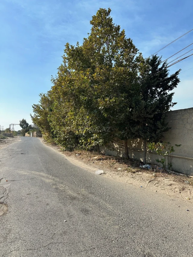 Torpaq sahəsi Satılır