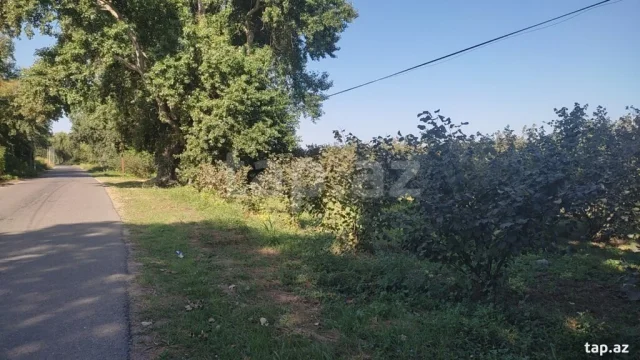 Torpaq sahəsi Satılır