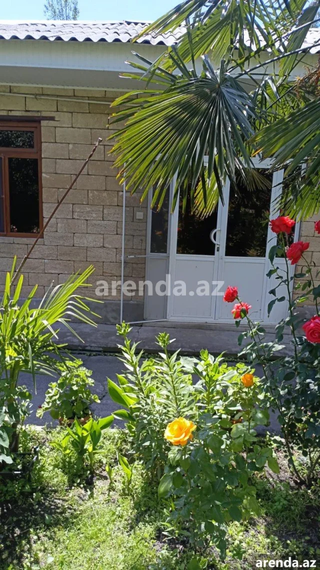 Həyət/Bağ Evi, Villa Kirayə verilir
