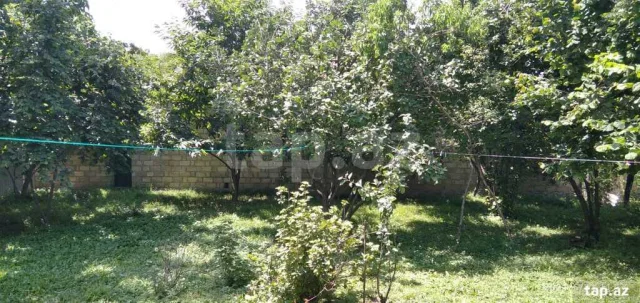 Həyət/Bağ Evi, Villa Kirayə verilir